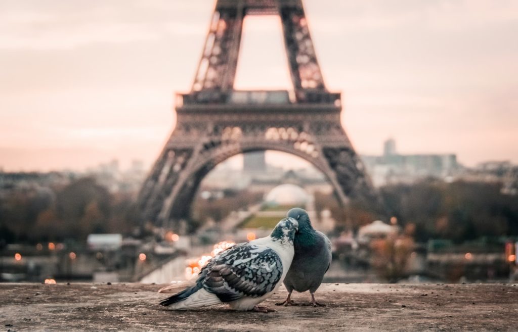 Rencontrez des gens gratuitement à Paris